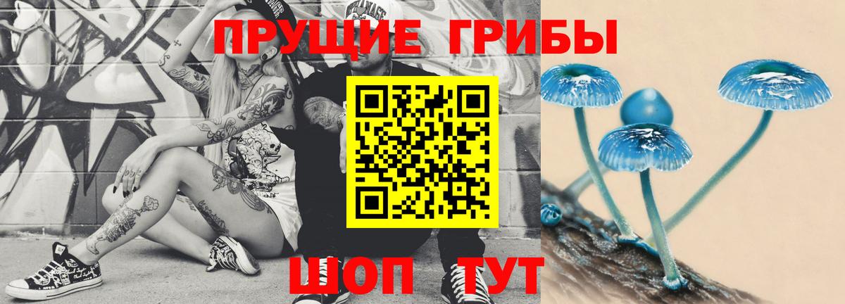 Псилоцибиновые грибы Psilocybine cubensis  Вход с VPN  Ярославль 