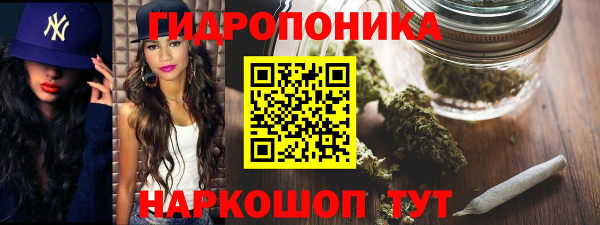 Бошки Шишки планчик Ярославль